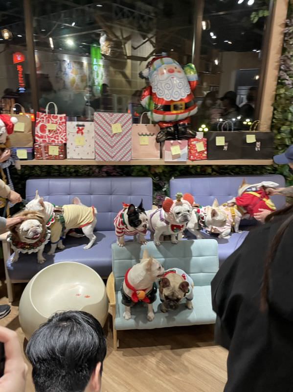 森林小徑文心店對寵物超友善